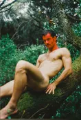 Diri